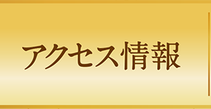 アクセス情報